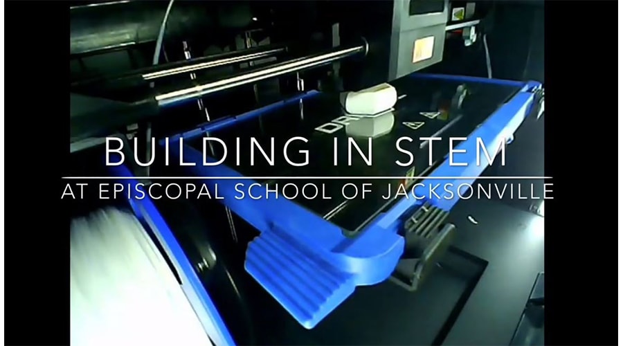 stem