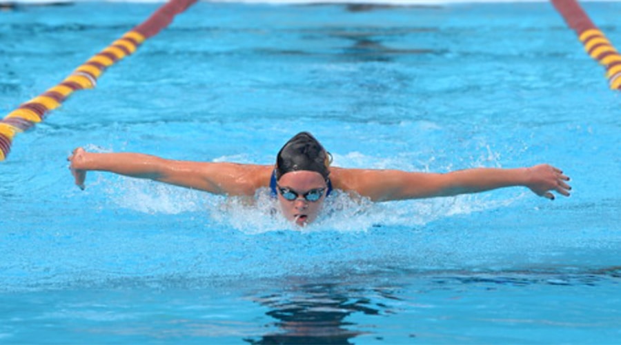 swim900