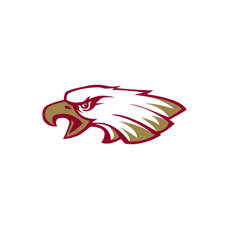 ESJ_Eagle_Head_Logo_RGB_2C