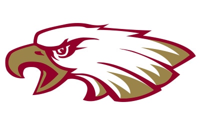 Eagles in the Pros - _Eagle Head