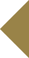 previous arrow