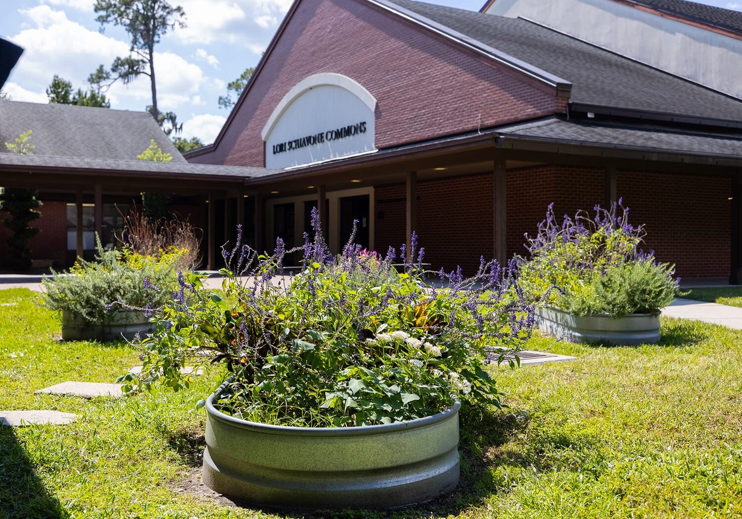 Homepage-facilities-gallery-Lori Schiavonne Commons